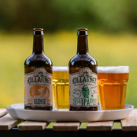 Luxury tent Killarney Glamping At The Grove, Suites And Lodges Killarney