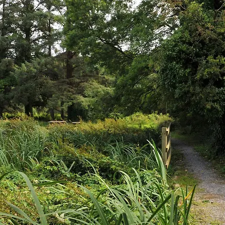 Luxury tent Killarney Glamping At The Grove, Suites And Lodges 4*