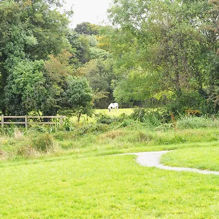 Killarney Glamping At The Grove, Suites And Lodges