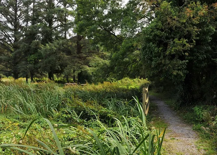 Luxuszelt Glamping At The Grove, And 4*