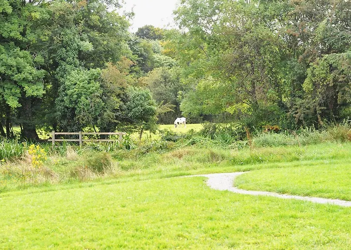 Glamping At The Grove, And