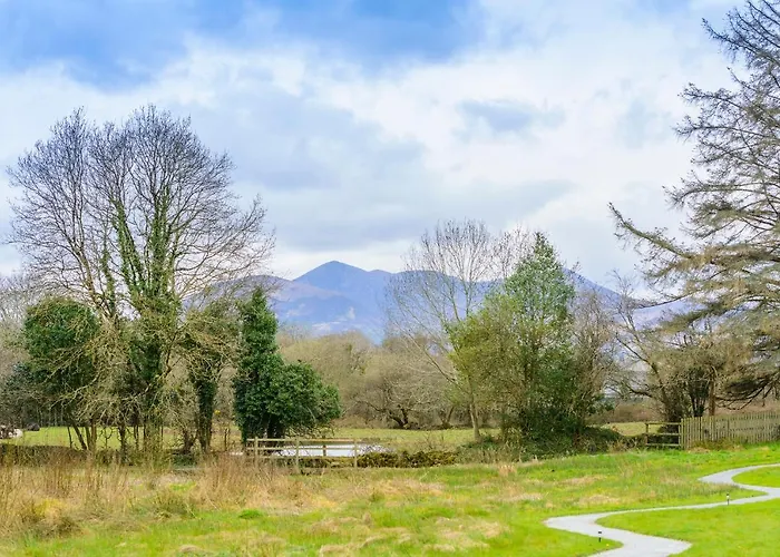Glamping At The Grove, And Luxuszelt Killarney